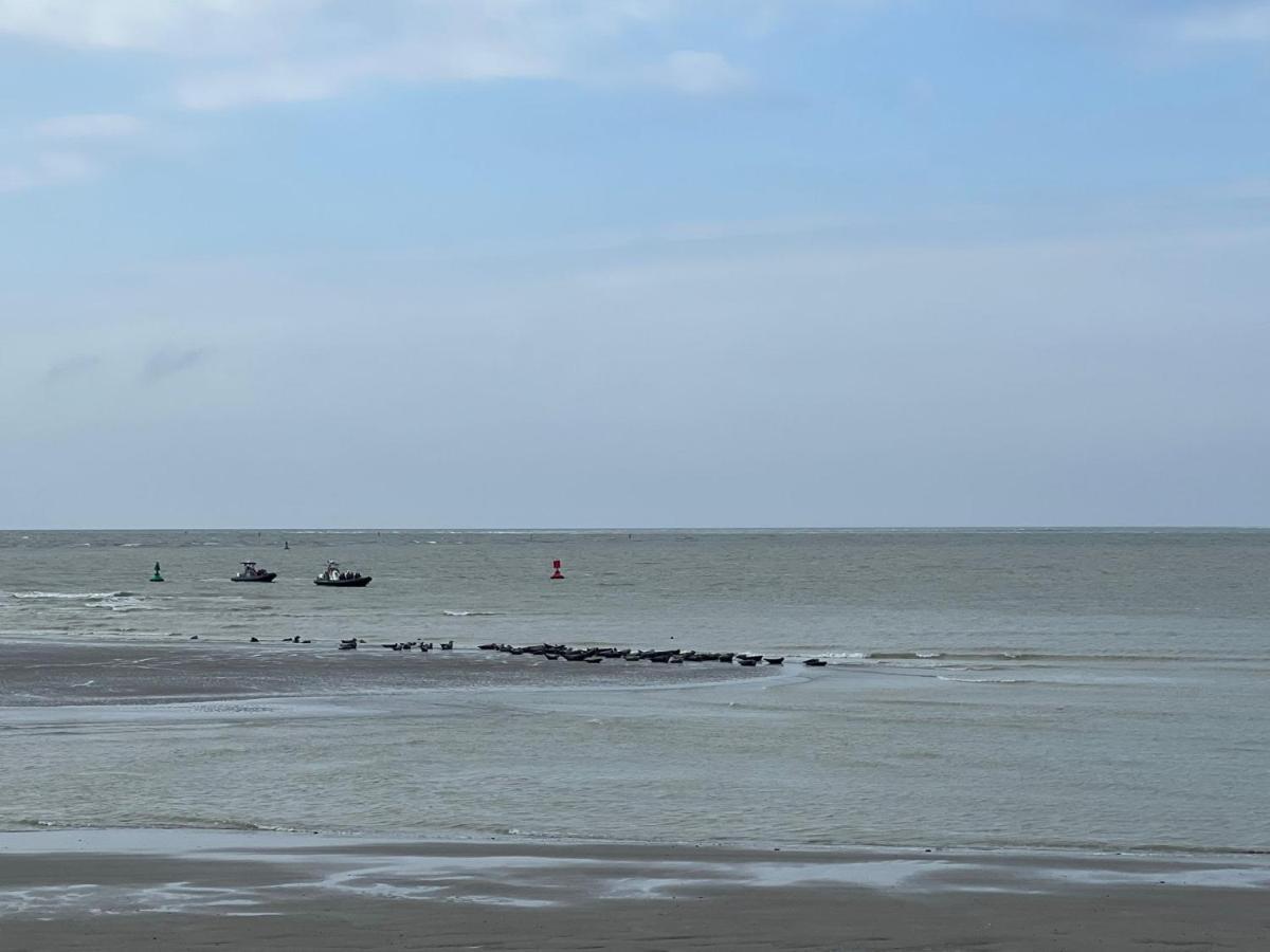 Plage A 50M Appartement Reves Etoiles Villa Les Bains De Mers Exteriör bild